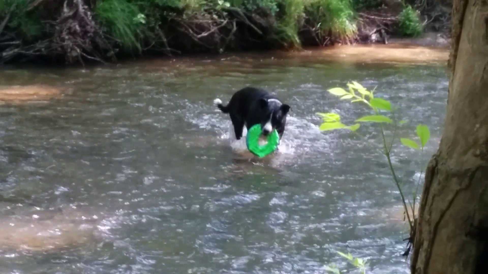 VID_20140601_093321.mp4